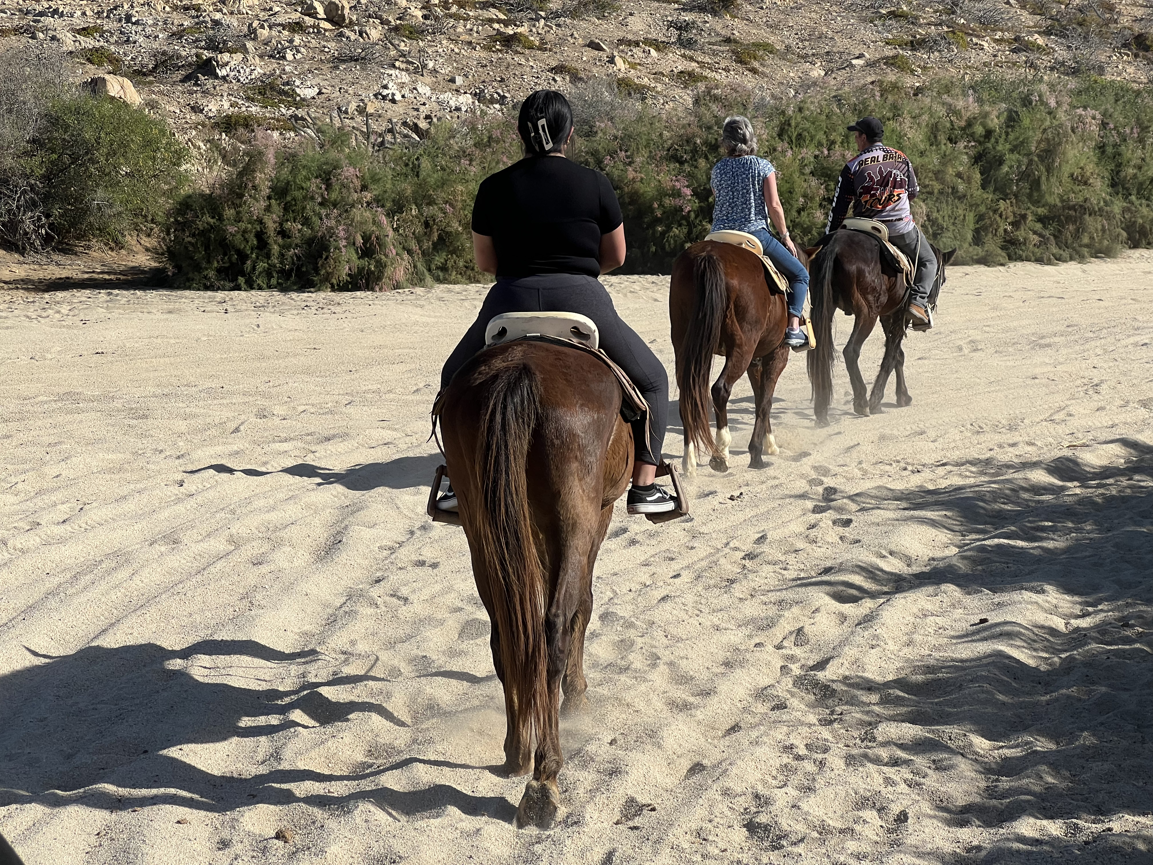 ./2024/13 - Cabo/IMG_4471.jpg